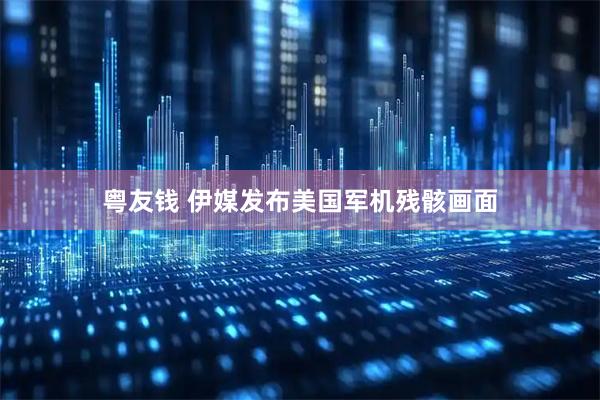 粤友钱 伊媒发布美国军机残骸画面